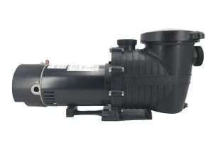 Classic in-ground Pump